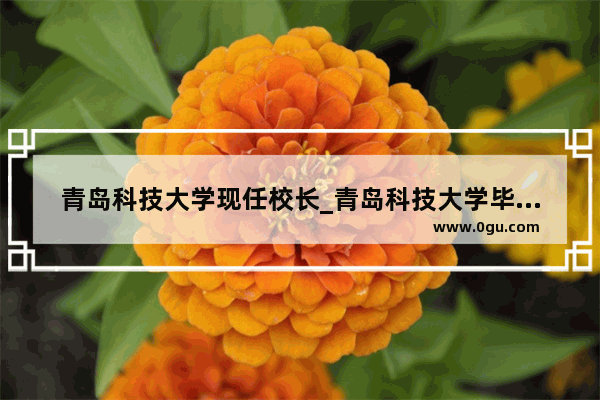 青岛科技大学现任校长_青岛科技大学毕业典礼校长致辞