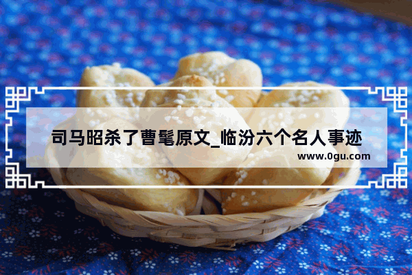 司马昭杀了曹髦原文_临汾六个名人事迹