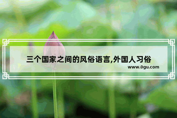 三个国家之间的风俗语言,外国人习俗