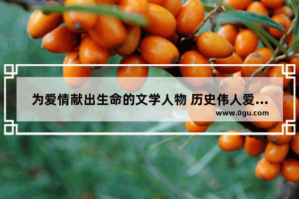 为爱情献出生命的文学人物 历史伟人爱情故事
