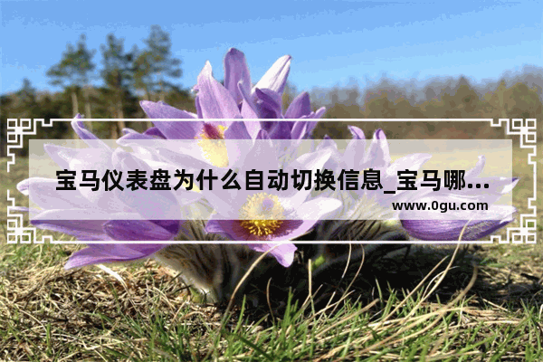 宝马仪表盘为什么自动切换信息_宝马哪一款仪表盘有液晶钟