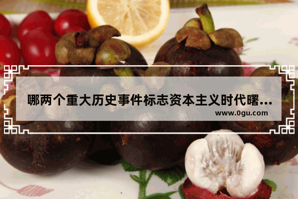 哪两个重大历史事件标志资本主义时代曙光,中国历史曙光篇
