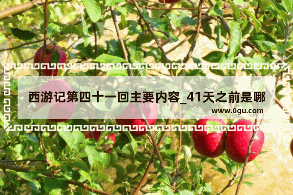 西游记第四十一回主要内容_41天之前是哪一天