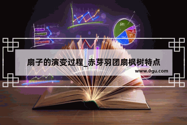 扇子的演变过程_赤芽羽团扇枫树特点