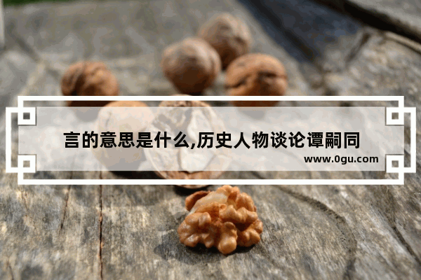 言的意思是什么,历史人物谈论谭嗣同