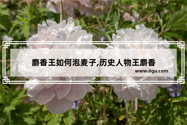 麝香王如何泡麦子,历史人物王麝香