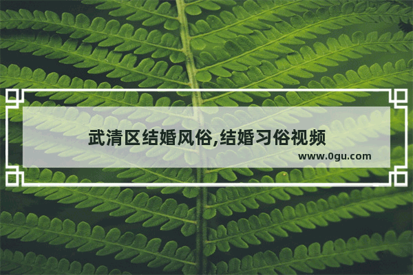 武清区结婚风俗,结婚习俗视频