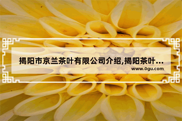 揭阳市京兰茶叶有限公司介绍,揭阳茶叶历史文化