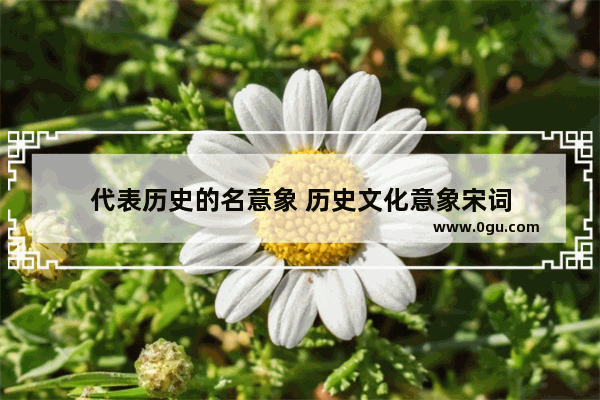 代表历史的名意象 历史文化意象宋词