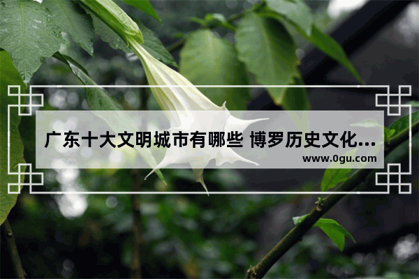 广东十大文明城市有哪些 博罗历史文化文明