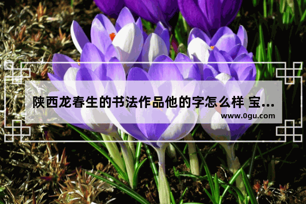 陕西龙春生的书法作品他的字怎么样 宝鸡书法历史文化
