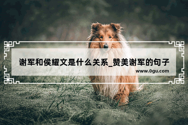 谢军和侯耀文是什么关系_赞美谢军的句子