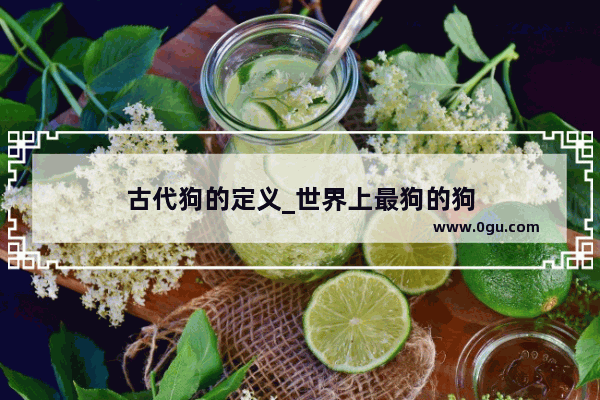 古代狗的定义_世界上最狗的狗