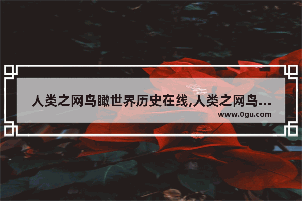 人类之网鸟瞰世界历史在线,人类之网鸟瞰世界历史在线
