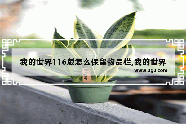 我的世界116版怎么保留物品栏,我的世界历史物品栏在哪