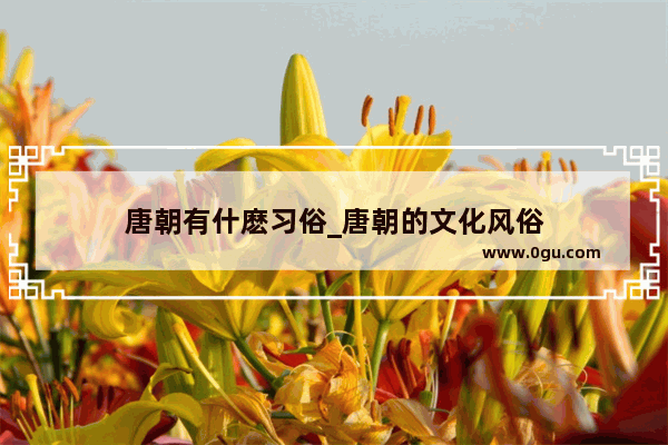 唐朝有什麽习俗_唐朝的文化风俗