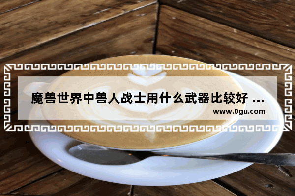 魔兽世界中兽人战士用什么武器比较好 魔兽世界历史兽人用的装备