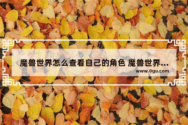 魔兽世界怎么查看自己的角色 魔兽世界历史人物问答在哪