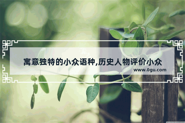 寓意独特的小众语种,历史人物评价小众