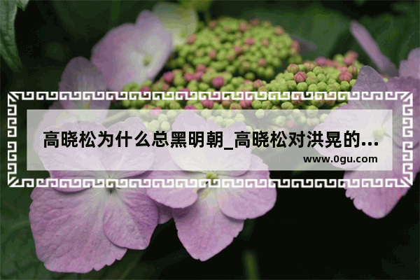 高晓松为什么总黑明朝_高晓松对洪晃的评价