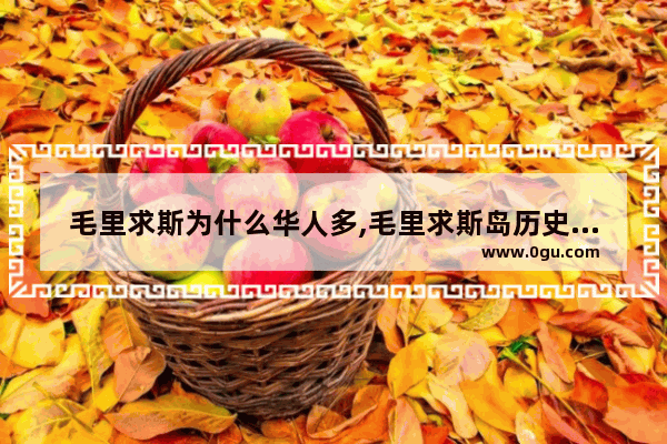 毛里求斯为什么华人多,毛里求斯岛历史故事