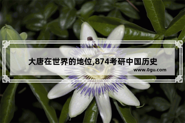 大唐在世界的地位,874考研中国历史