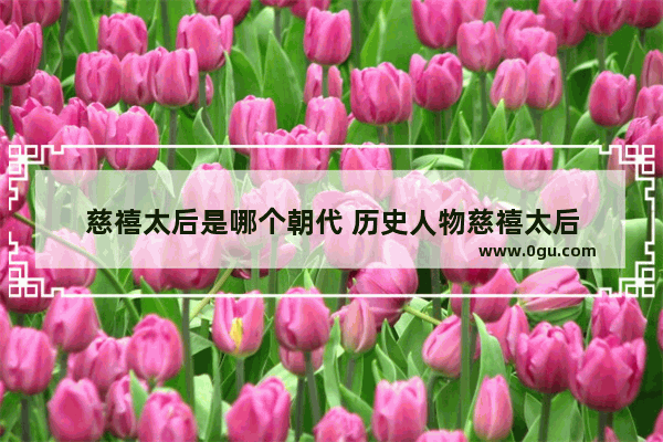 慈禧太后是哪个朝代 历史人物慈禧太后
