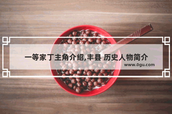 一等家丁主角介绍,丰县 历史人物简介