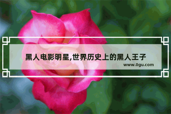 黑人电影明星,世界历史上的黑人王子