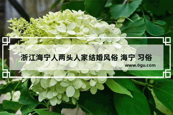 浙江海宁人两头人家结婚风俗 海宁 习俗