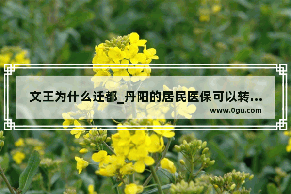 文王为什么迁都_丹阳的居民医保可以转到镇江吗