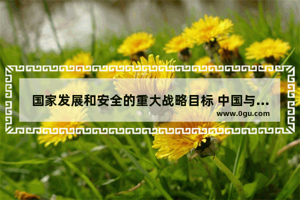 国家发展和安全的重大战略目标 中国与世界历史机遇和挑战