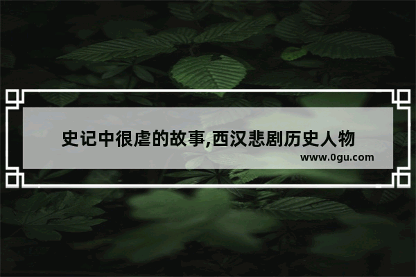 史记中很虐的故事,西汉悲剧历史人物