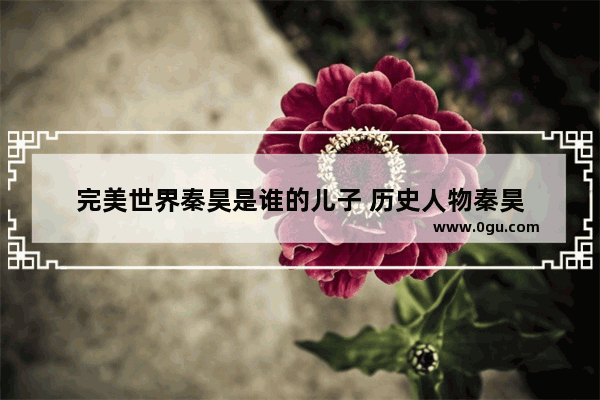 完美世界秦昊是谁的儿子 历史人物秦昊