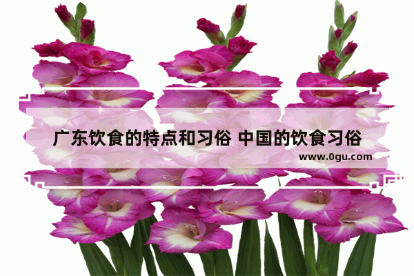 广东饮食的特点和习俗 中国的饮食习俗