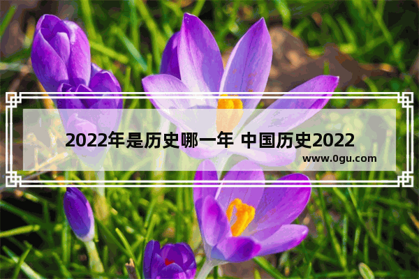 2022年是历史哪一年 中国历史2022年