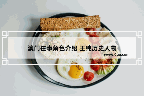 澳门往事角色介绍 王纯历史人物
