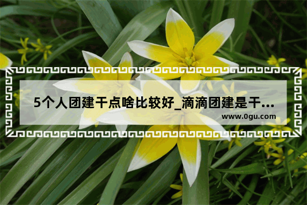 5个人团建干点啥比较好_滴滴团建是干什么的
