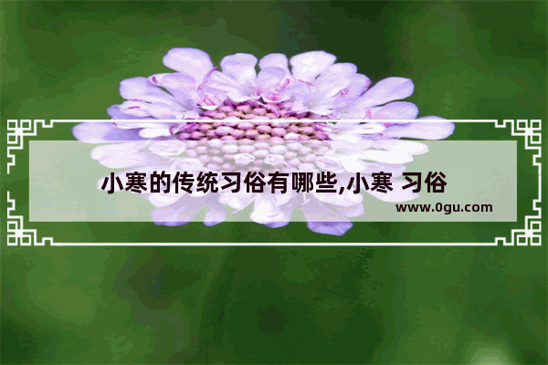 小寒的传统习俗有哪些,小寒 习俗