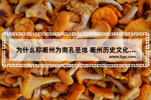为什么称衢州为南孔圣地 衢州历史文化南孔文化
