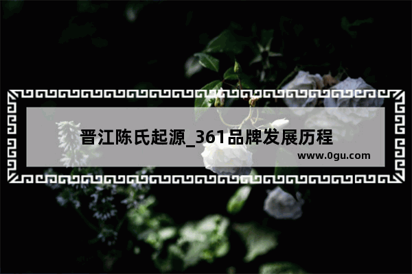 晋江陈氏起源_361品牌发展历程