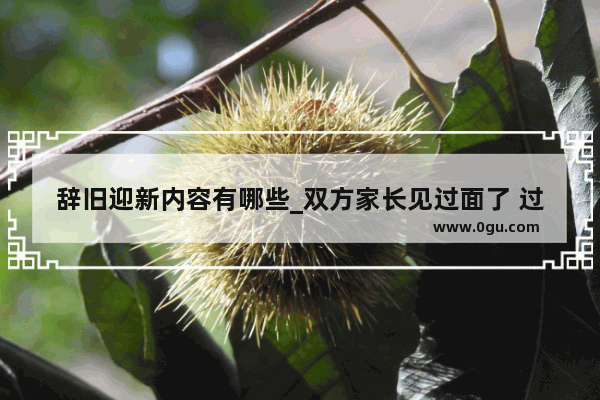 辞旧迎新内容有哪些_双方家长见过面了 过年了 男女双方各有什么风俗啊