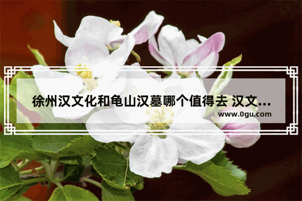 徐州汉文化和龟山汉墓哪个值得去 汉文化景区历史文化
