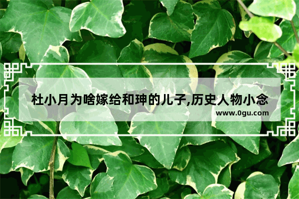 杜小月为啥嫁给和珅的儿子,历史人物小念