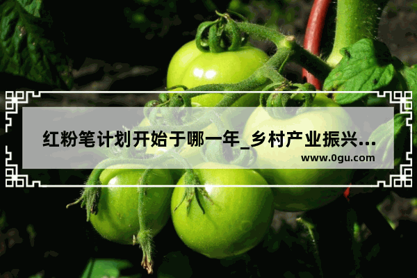 红粉笔计划开始于哪一年_乡村产业振兴三个导向是
