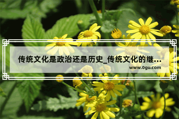 传统文化是政治还是历史_传统文化的继承要以开发和创新为目的和归宿