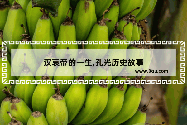汉哀帝的一生,孔光历史故事