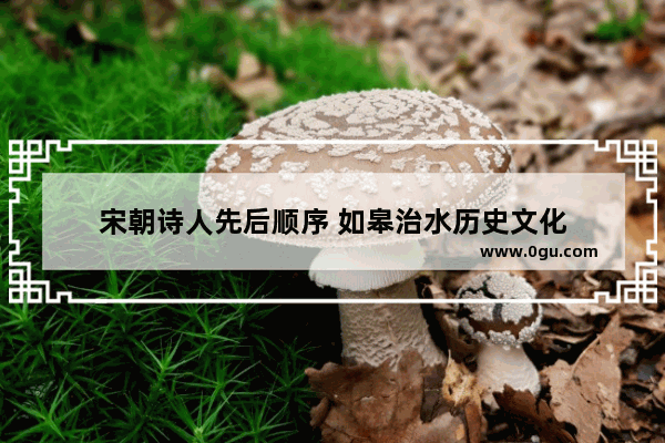 宋朝诗人先后顺序 如皋治水历史文化