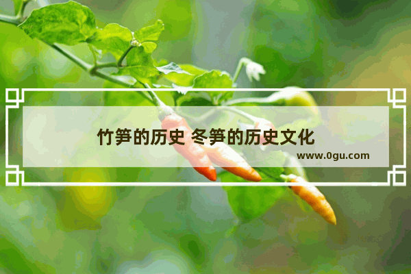 竹笋的历史 冬笋的历史文化