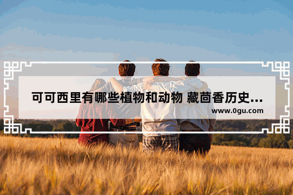 可可西里有哪些植物和动物 藏茴香历史故事